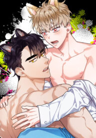 Cover 34941