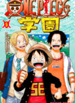 Cover 35001
