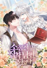 Cover 35017