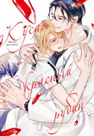 Cover 35105