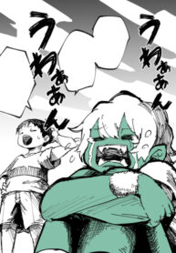 Cover 35161
