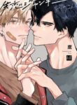 Cover 35263