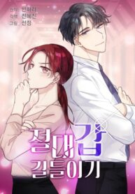 Cover 35303