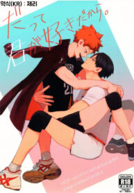 Cover 35335