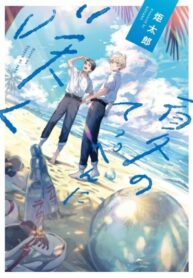 Cover 35339