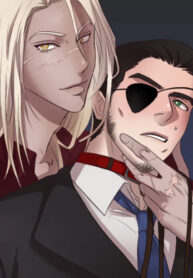 Cover 35403