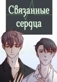 Cover 35410