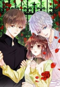 Cover 35455