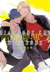 Cover 35483