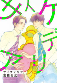 Cover 35485