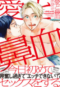 Cover 35527