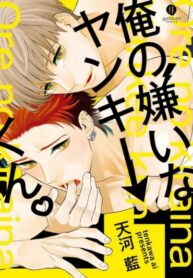 Cover 35529