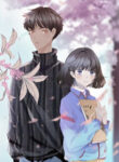 Cover 35535