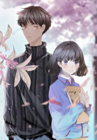 Cover 35535