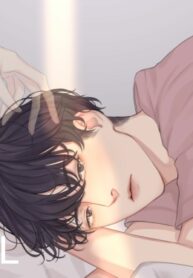 Cover 35559