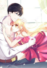 Cover 35563
