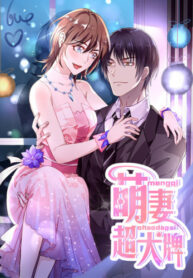 Cover 35564