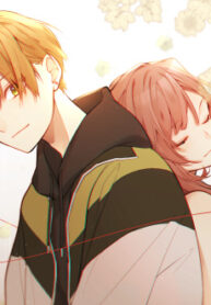 Cover 35623