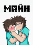 Cover 35653