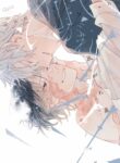 Cover 35711