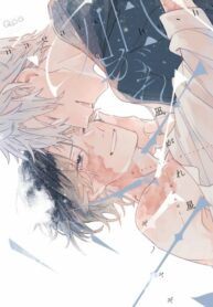 Cover 35711