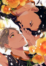 Cover 36218