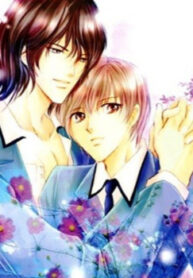 Cover 36350