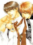 Cover 36380