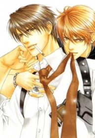 Cover 36380