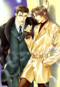 Cover 36382