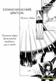 Cover 36410
