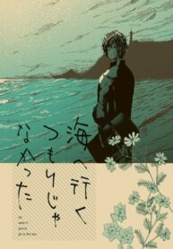 Cover 36447