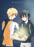 Cover 36494