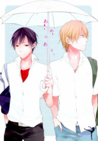 Cover 36504
