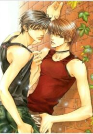 Cover 36514