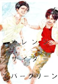 Cover 36524