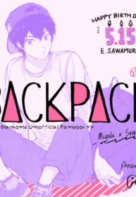 Cover 36530