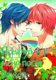 Cover 36537