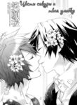 Cover 36544