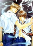 Cover 36546