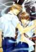 Cover 36546
