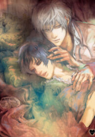 Cover 36558