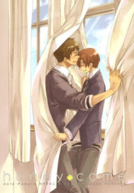 Cover 36648