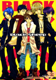Cover 36855