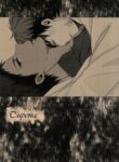 Cover 36877