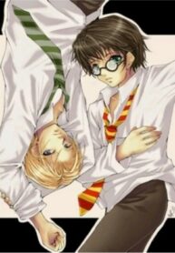Cover 36991