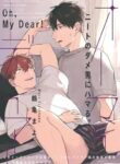 Cover 37025