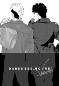 Cover 37045