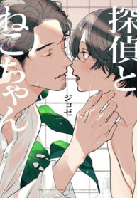 Cover 37099