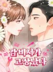 Cover 37237